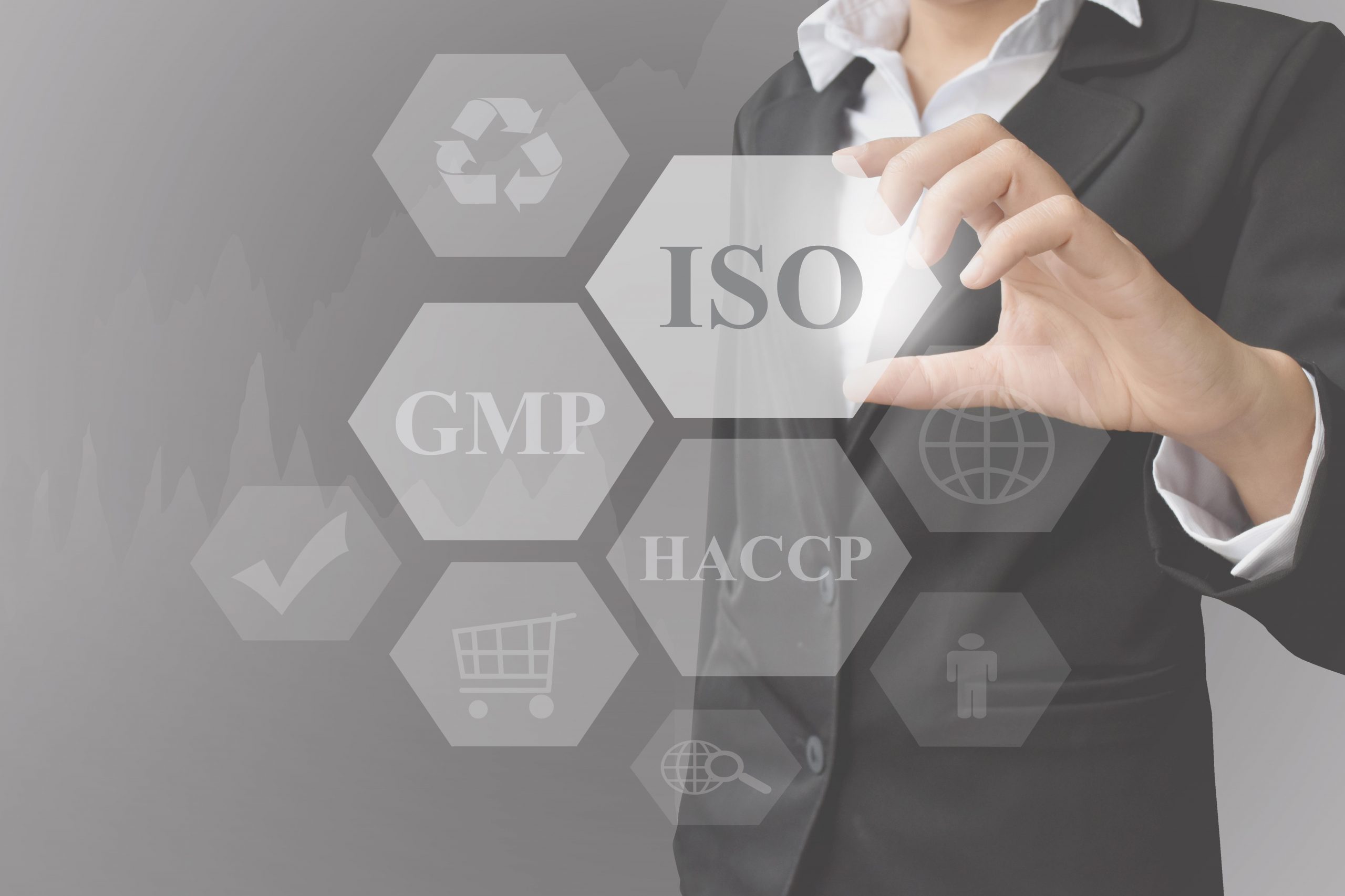 Manutenção ISO 9001:2015
